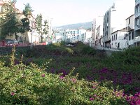 S2330007  FUNCHAL