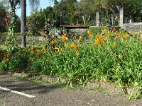 S2330018  FUNCHAL Parc de Sta Catarina