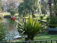 S2330025  FUNCHAL Parc de Sta Catarina