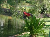 S2330037  FUNCHAL Parc de Sta Catarina