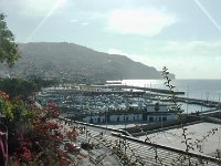 S2330062  FUNCHAL Parc de Sta Catarina
