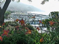 S2330069  FUNCHAL Parc de Sta Catarina