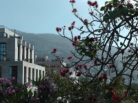S2330073  FUNCHAL Parc de Sta Catarina