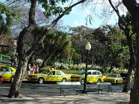 S2330082  FUNCHAL Visite de la ville
