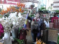 S2330152  FUNCHAL Le marché aux fleurs