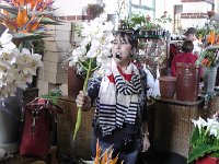 S2330154  FUNCHAL Le marché aux fleurs