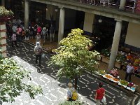 S2330159  FUNCHAL Le marché aux fruits