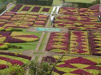S2330179  Jardin botanique de Madère