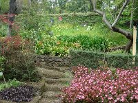 S2330182  Jardin botanique de Madère
