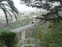 S2330207  Jardin botanique de Madère