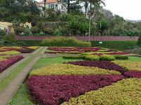 S2330225  Jardin botanique de Madère