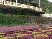 S2330226  Jardin botanique de Madère