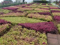 S2330228  Jardin botanique de Madère