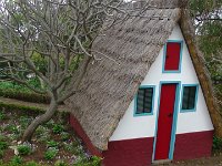S2330249  Jardin botanique de Madère