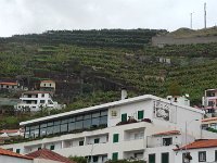 S2340008  Câmara de Lobos
