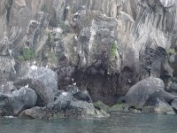 S2340013  Câmara de Lobos