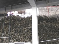 S2340046  Production du miel et de l'eau de canne à sucre à Calheta