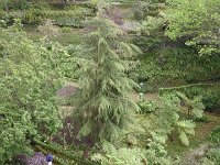 S2350029  jardin public Le village de Monte
