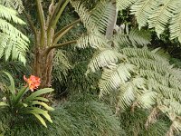 S2350030  Le jardin public Le village de Monte