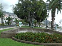 S2350053  Funchal