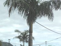 S2350057  Funchal