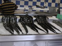 S2360040  Ribeira Brava poissonnerie (les poissons sabre noir)