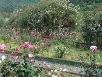 S2360106  Les rosariums de Santana