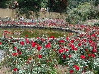 S2360130  Les rosariums de Santana