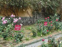S2360131  Les rosariums de Santana