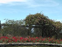 S2360136  Les rosariums de Santana