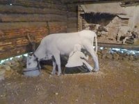 246-P1060037  Animaux de ferme