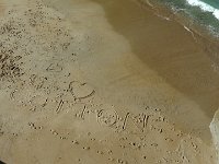 S2910040  Visite de Biarritz