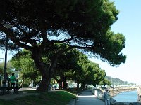 S2940045  San Sebastian