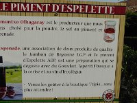 S2950049  Visite d'Espelette