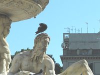 S2660090  La fontana di Orione, sur la piazza del Duomo de Messine