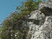 S2670027  Latomia du paradis
