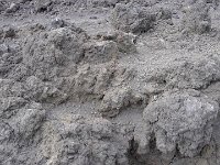 S2680043  Les cratères des monts Silvestri (lave)
