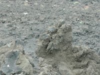 S2680051  Les cratères des monts Silvestri (lave)