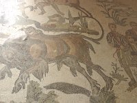 S2690048  Villa romaine du Casale