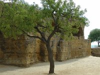 S2690108  Agrigente et la vallée des Temples