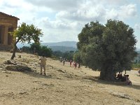S2690120  Agrigente et la vallée des Temples