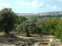 S2690133  Agrigente et la vallée des Temples