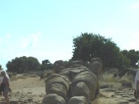 S2690146  Agrigente et la vallée des Temples