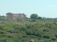S2700041  Parc archéologique de Selinonte