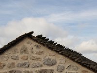 IMG 1452  Lajo (48120, Lozère)
