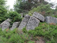 IMG 1521  Lajo (48120, Lozère) randonnée