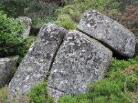 IMG 1522  Lajo (48120, Lozère) randonnée