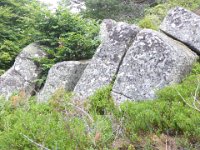 P1010328  Lajo (48120, Lozère) randonnée