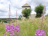 P1010339  retour sur Lajo (48120, Lozère)