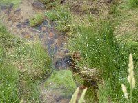 P1010355  Déjeuner au domaine du SAUVAGE (Hte Loire)